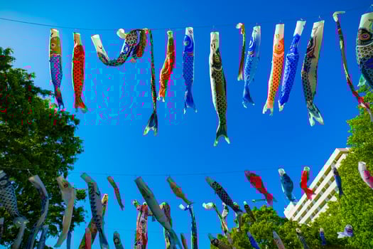 Carp streamer at the park in Tokyo daytime sunny photo
