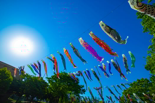 Carp streamer at the park in Tokyo daytime sunny photo