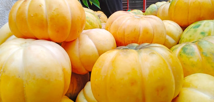 fresh on the theme of healthy fruits photo