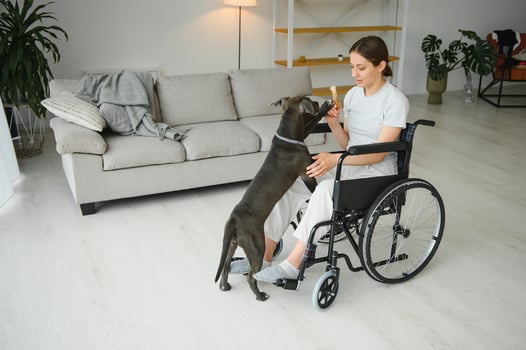 Young woman in wheelchair with dog indoors photo