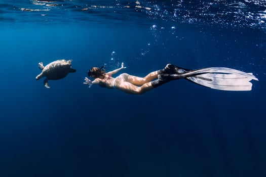 Lady with fins snorkeling underwater with turtle in sea. Swimming with sea turtle. photo
