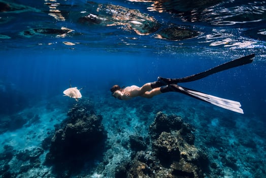 Woman freediver with fins glides underwater with sea turtle in tropical sea. Snorkeling with turtle in ocean. photo