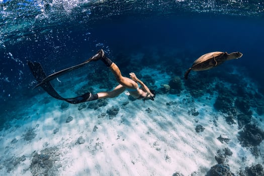 Snorkeling with sea turtle. Lady with fins dive underwater with turtle in sea. photo