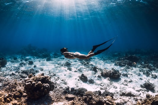Free diver woman with fins glides over corals in blue sea. photo