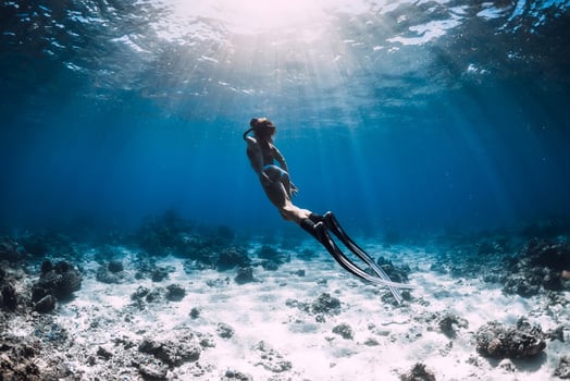 Woman free diver with fins glides underwater in deep blue ocean photo