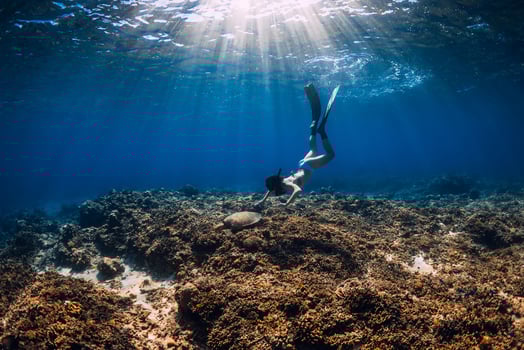 Snorkeling with sea turtle. Woman with fins swimming underwater with turtle. photo