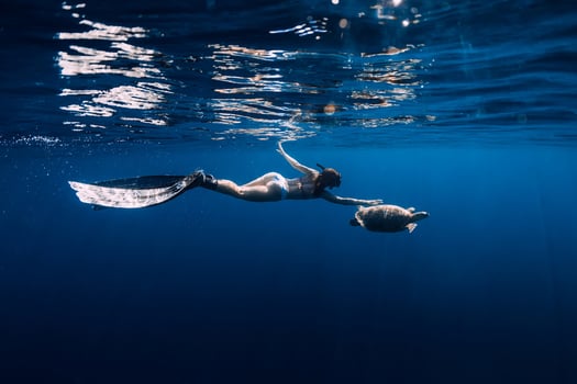 Woman freediver with fins glides underwater with sea turtle in tropical sea. Snorkeling with turtle in ocean. photo