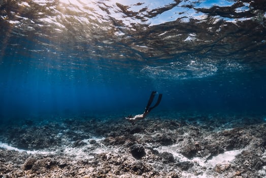 Woman freediver with fins glides underwater in blue ocean. Freediving or swimming in sea photo