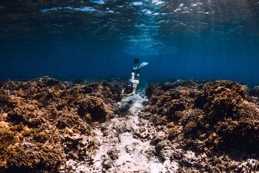 Woman freediver with fins glides underwater in blue ocean. Freediving or swimming in sea photo
