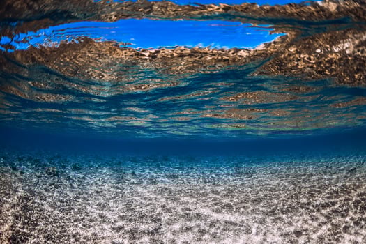 Tropical blue sea with corals in underwater photo