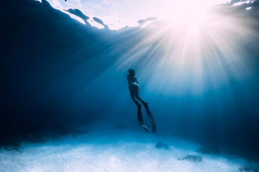 Freediver woman with fins swim underwater in sea. photo