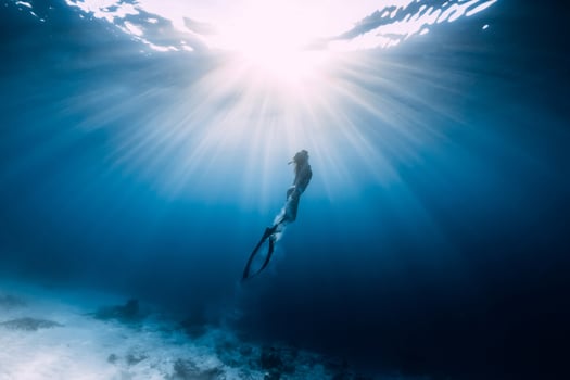 Freediver woman with fins swim underwater in sea. photo