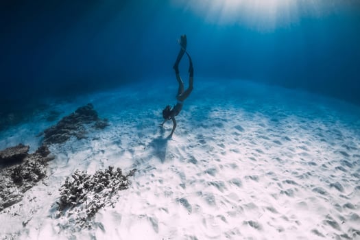 Freediver woman with fins swim underwater in sea. photo