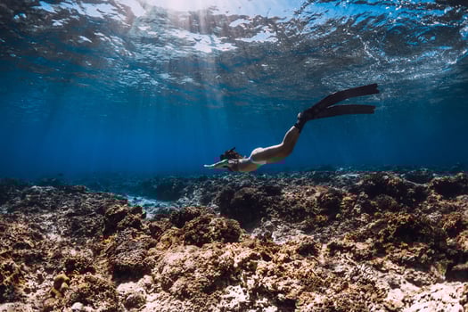 Free diver woman with fins glides over corals in blue sea. photo