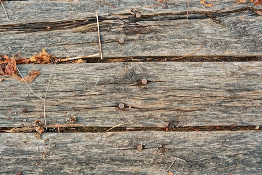 Rotted wood planking closeup photo