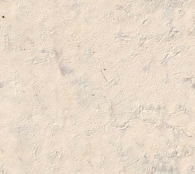 Seamless rough Narish paper texture. Natural Himalayan flowers petals handmade craft recycled floral lokta paper background for creative artwork. photo