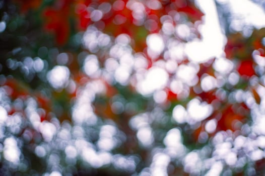 beautiful blur background with orange color photo