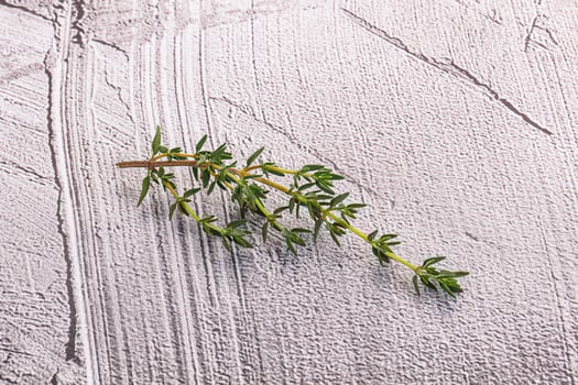 Aroma seasoning thyme stem with leaves photo