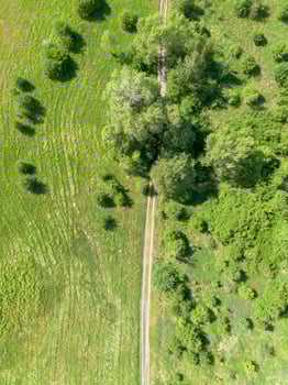 Country road leading through a meadow, view from the top photo