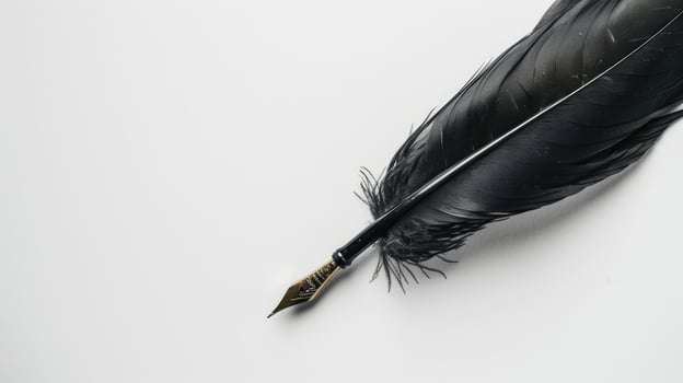 Black quill pen isolated on white background photo