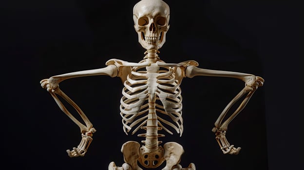 Eye-level angle of a human skeleton, striking a strong superhero pose with fists on hips, isolated on a black background photo