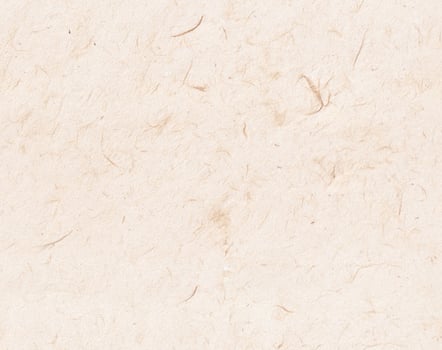 Nepalese light lokta paper texture. Seamless craft handmade fiber recycled paper background surface, natural and eco-friendly pattern material page. 18gsm pale natural. photo