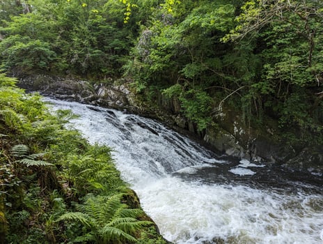 Beautiful River Waterfall Surrounded by Lush Green Forest photo