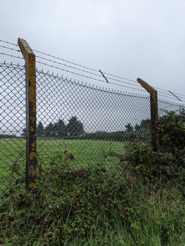 Old Barbed Wire Fence Protecting Farmland with Deteriorating Concrete and Lichen-Covered Posts. photo