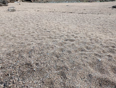 Vibrant Pink Granite Coastal Beach in Brittany, France photo