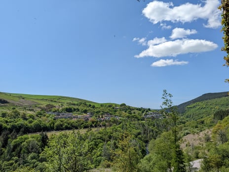 Forest Landscape with Mountains and Blue Skies photo
