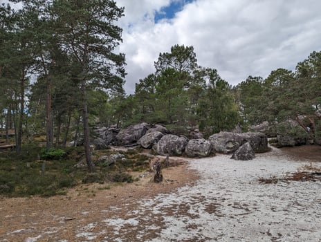 Sunny Wilderness Landscape with Boulders and Rock in Fontainebleau, France, at the L'Elephant climbing area. photo