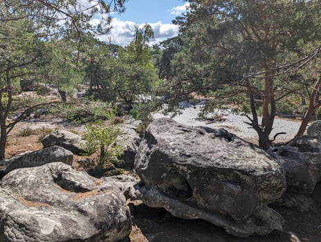 Tranquil Autumn Wilderness Beauty in Nature with Boulders and Rock Climbing in Fontainebleau Forest, France photo