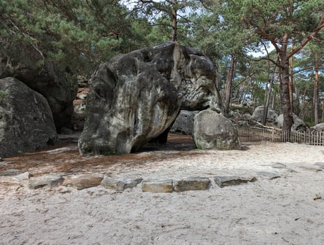 Exploring L'elephant at Fontainebleau Sunny Day Hiking and Rock Climbing in France photo
