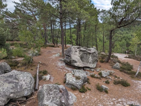 Scenic Hiking Path Near L'elephant Rock in Fontainebleau, France photo
