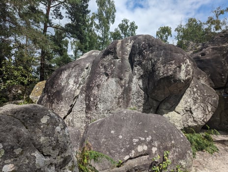 Scenic Summer Hike in Fontainebleau Rock Climbing Amid Sandstone Boulders photo