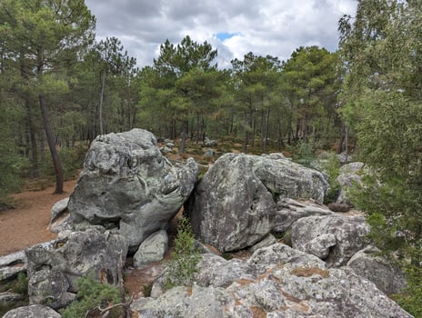 Idyllic Summer Landscape with Boulders and Trees in Fontainebleau, France photo