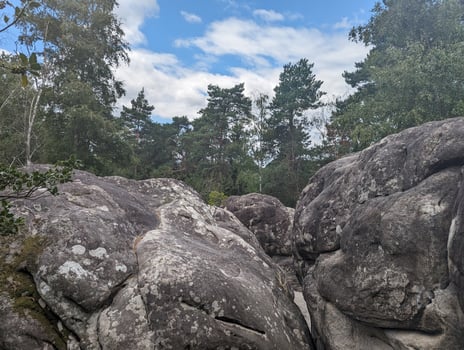 Serene Landscape Boulder Climbing Amidst Nature's Beauty in Fontainebleau photo