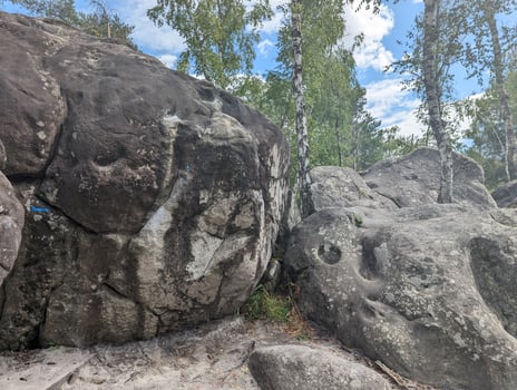Summer Day in Fontainebleau Bouldering in the Forest photo