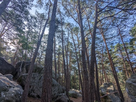 Autumn Wilderness Forest Hiking in Franchard Isatis, Fontainebleau, France photo
