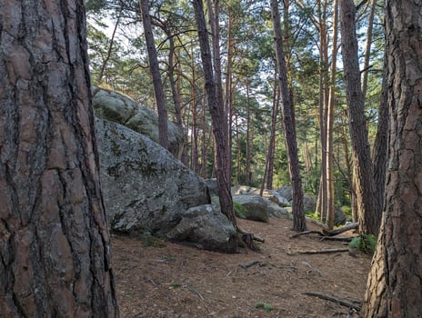 Autumn Hiking Trail Through Fontainebleau Forest, France photo