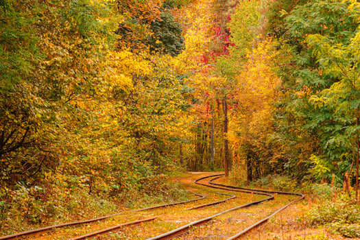 Autumn forest through which an old tram rides Ukraine photo