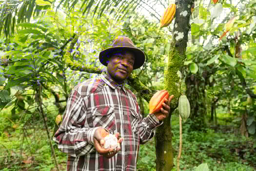 Proud farmer stands near the cocoa plant, displays cocoa beans in one hand and a pod in the other photo