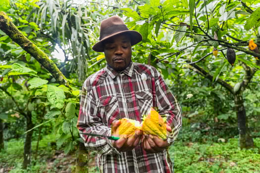 Young African farmer opening a cocoa pod with a knife. Harvest concept photo
