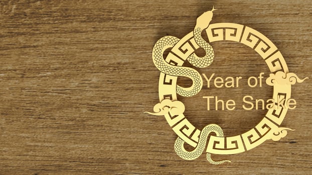 The year of snake for holiday concept 3d rendering. photo