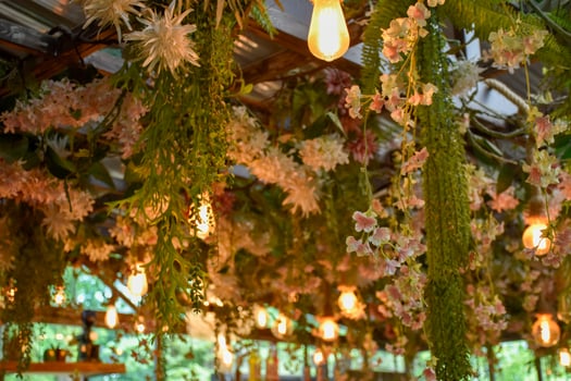 The ceiling is decorated with flowers and plants and warm light bulbs It is a natural interior decoration for designing a cafe or office. photo