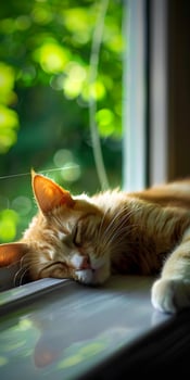 Sleepy Feline Perch photo