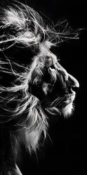 Regal Lion Mane Portrait photo