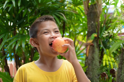 Cute young boy is about to bite or eat a red apple with a charming face and a fun smile for a kid concept with healthy fruits on a beautiful green blurred forest background. photo