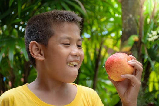 Young boy is holding a red apple and is eating it with an expression that indicates deliciousness for healthy food concept against green forest with soft sunlight beautiful background. photo