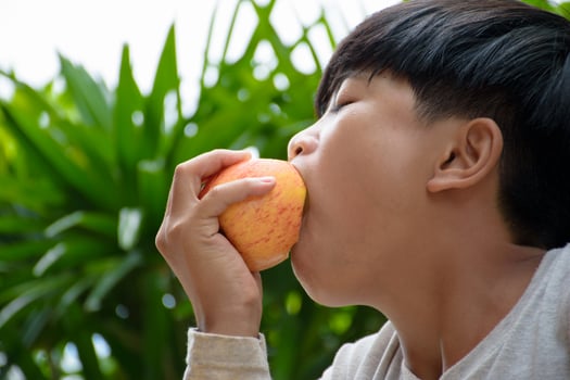 Asian boy holding an apple and eating it deliciously with a facial expression that conveys the taste of the fruit or food on a blurred green nature background. photo